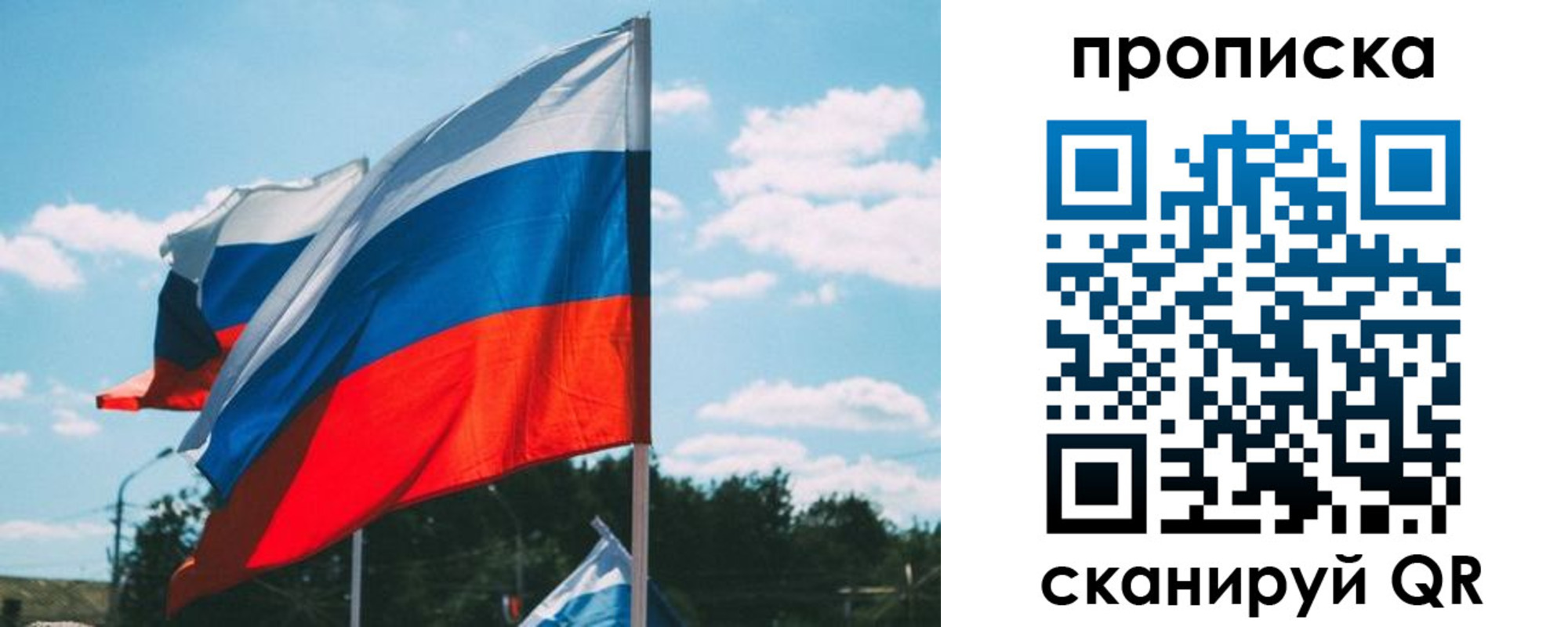 прописка поиск в Курчатове